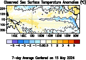 Weekly Sea Surface Temperatures anomalies